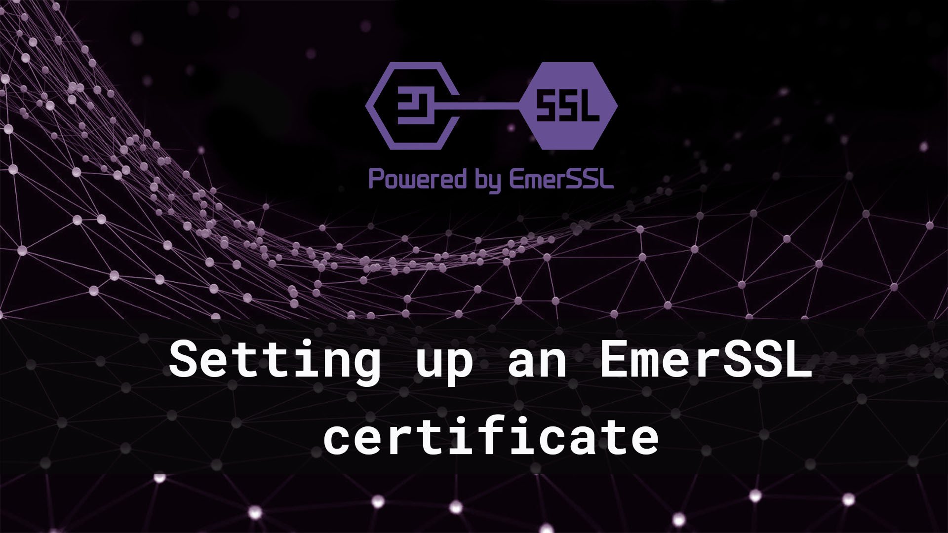 Logging on to Livecoin.net with EmerSSL 